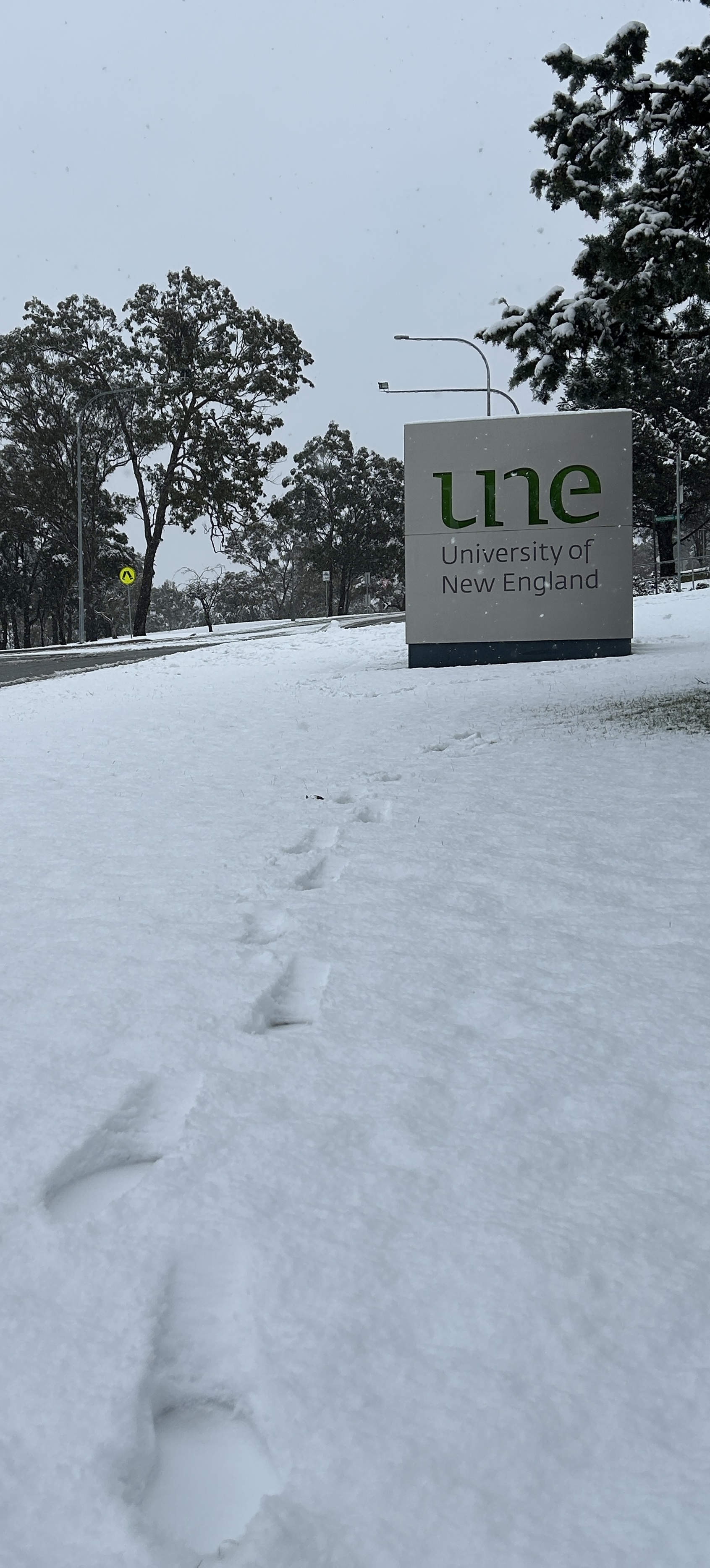 University of New England Epic Snow, Armidale, NSW, 2025