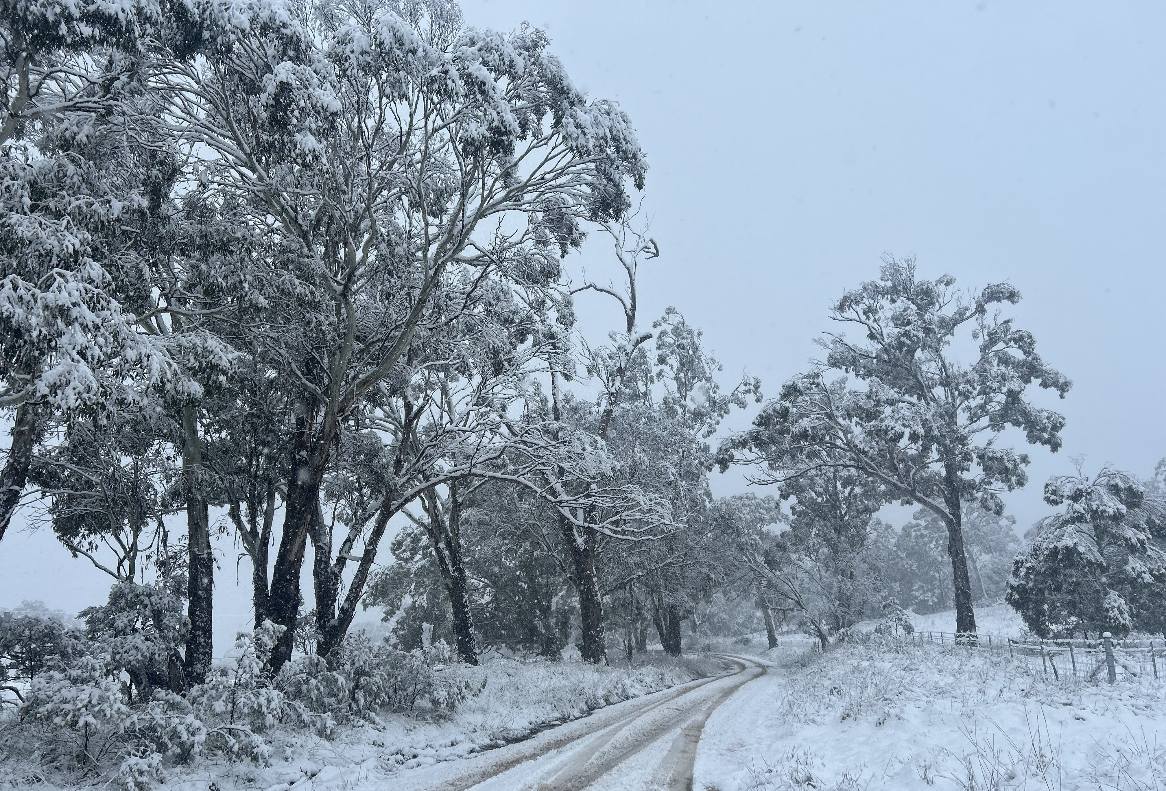 University of New England Epic Snow, Armidale, NSW, 2025