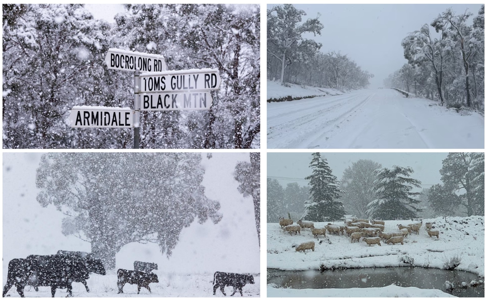 New England, NSW, Epic Snow, 2025